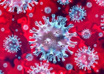 Cumbria’s public health director urges caution after school outbreaks