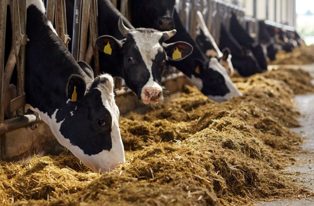A Cumbrian MP says there is "anxiety" among the farming community about new government schemes that will help to shape the future of farming and the environment. Pictured is a farm