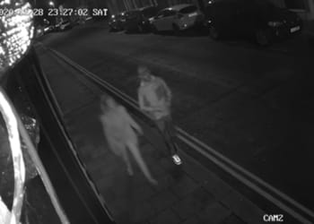 CCTV appeal after car windscreens damaged