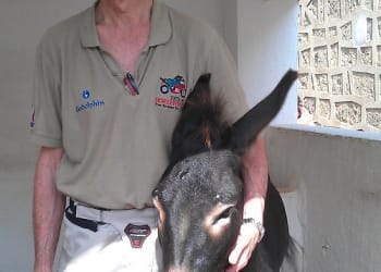 Paragon Veterinary Groups brings international horse expert to Cumbria in first virtual event