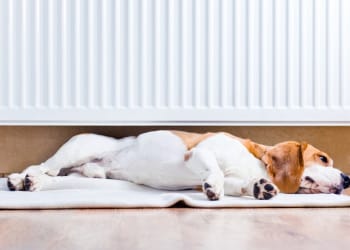 Act now to get heating grants