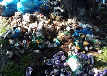 Mayor condemns Egremont arson attacks