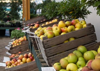 Beetham Nurseries Announces Apple Weekend is Back for 2020