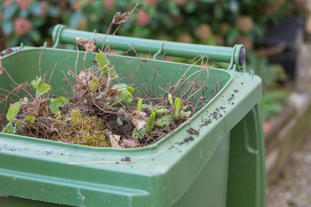 Green garden waste bin