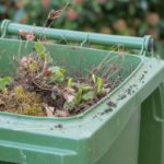 Green garden waste bin