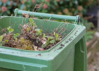 Green garden waste bin
