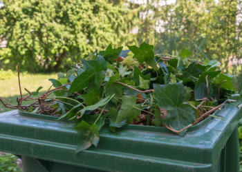 Green waste collections to restart in Copeland this month