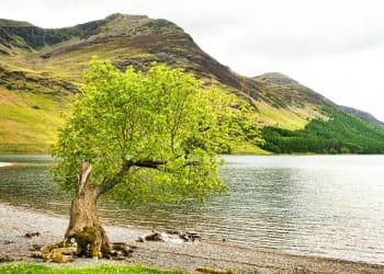 EU grants still up for grabs for Cumbrian businesses