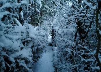 Snowy scenes from across Cumbria