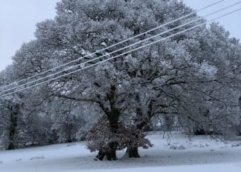 Winter wonderland in Cumbria