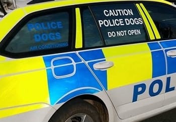 Coast road crash driver spared prison