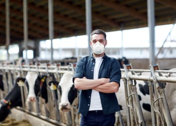 ‘Drop and go’ introduced at Cumbria’s livestock marts