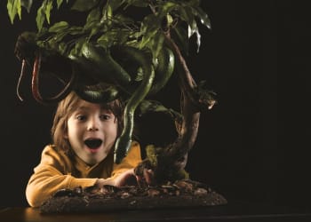The Beacon to host Snakes exhibition
