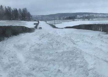 County update from Cumbria partner agencies