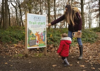 Join Zog on his magical forest adventure at Grizedale and Whinlatter Forests