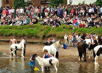 Discussions ongoing about future of Appleby Horse Fair 2021