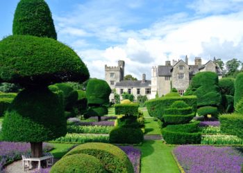 Guinness World Record-holding gardens in Cumbria create World Topiary Day