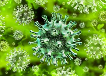 More than 1,400 excess deaths in Cumbria during COVID-19 pandemic