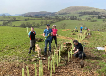 4,000 trees planted by volunteers and Another Way
