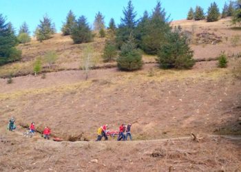 Biker stops breathing after Whinlatter Forest crash