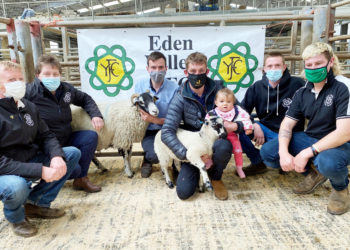 Over £2,000 raised at auction in memory of young farmer Hannah Brown