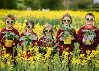 Summer of kindness inspired by Four Little Farm Boys