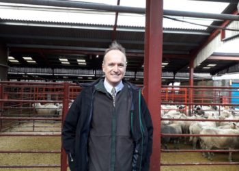 Penrith MP concerned over ‘lack of scrutiny’ of Australia trade deal