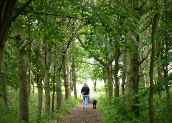 Nature helps 80 per cent of Cumbrians deal with stress of COVID-19