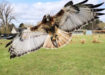 Blaithwaite House to host Superhero Family Fun Day