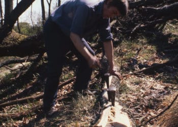 David Nash returns to Grizedale with a solo show: Return to the Forest