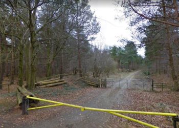 Dead dog dumped ‘like worthless piece of litter’ after suffering blow to head