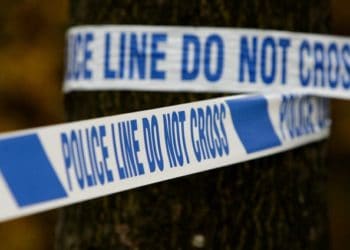 Police tape around a tree
