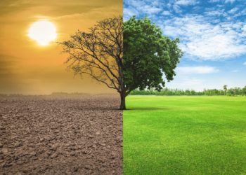 New residents’ panel on climate change launched for Copeland