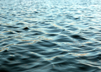 Two children ‘in distress’ rescued from River Eden by firefighters