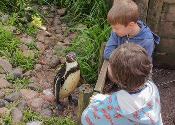 South Lakes Zoo latest: Civil dispute between tenants and landlords to be heard in court this week
