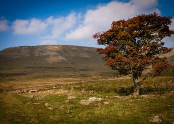 Pilgrimage on Cumbrian mountain in memory of man tipped to be Zimbabwe’s first saint