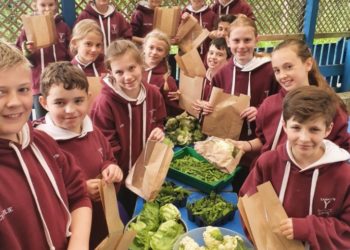 Hundreds of Cumbrian students showcase talents in learning celebration
