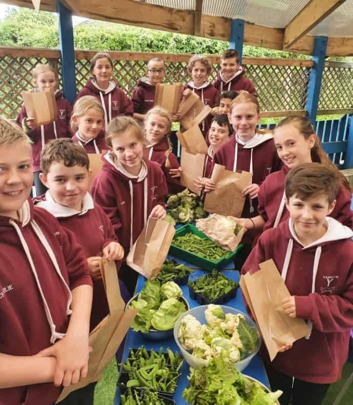 Hundreds of students and pupils showcased their talents during a Cumbria-wide celebration of learning.