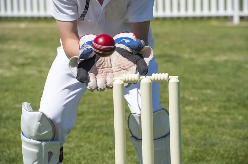 Wicket keeper catches cricket ball