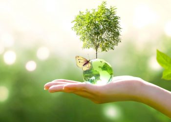 £570,000 green windfall for South Cumbrian schemes