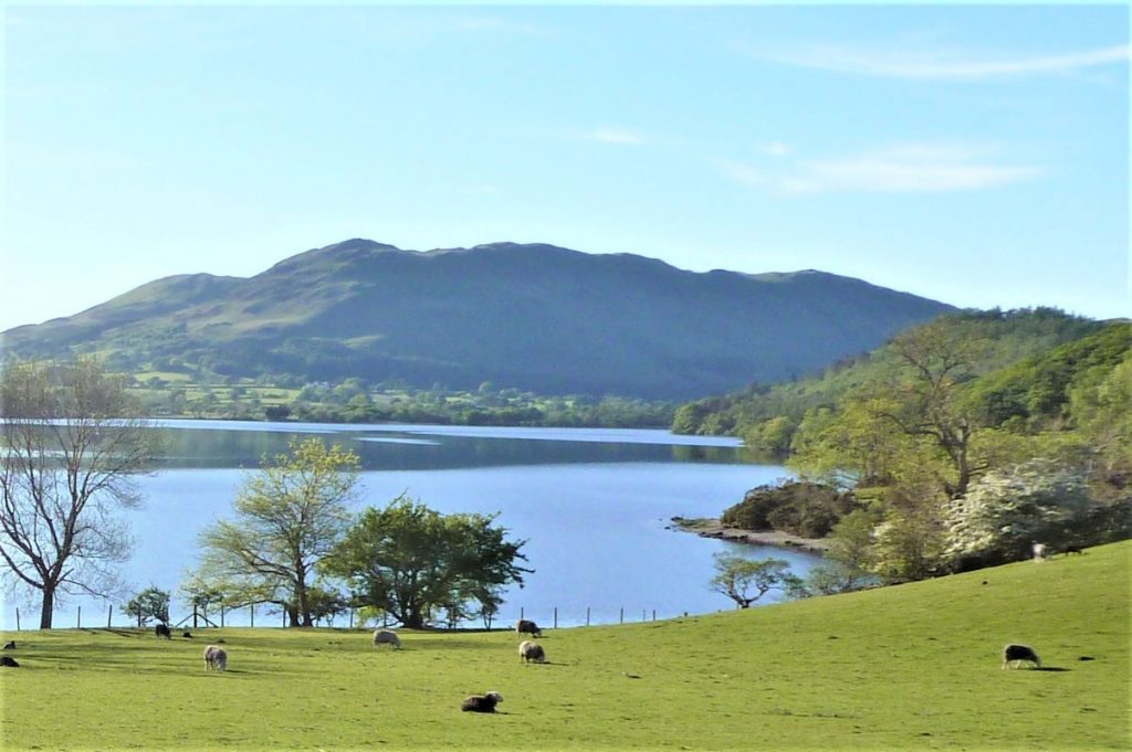 Low Fell from Crummock