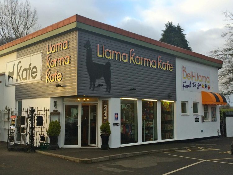 Llama Karma Kafe will not reopen