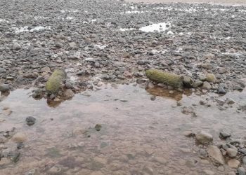 World War Two naval shells found on Cumbrian beach