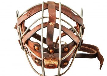 Muzzle for dogs