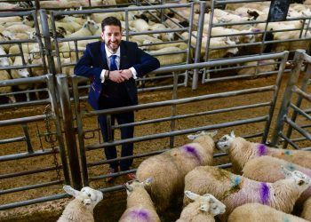 H&H Group supports Cumbria Food Awards