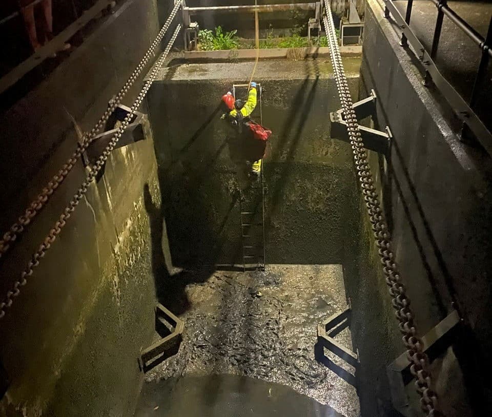 The coastguard was called to rescue a dog after it fell from the dockside.