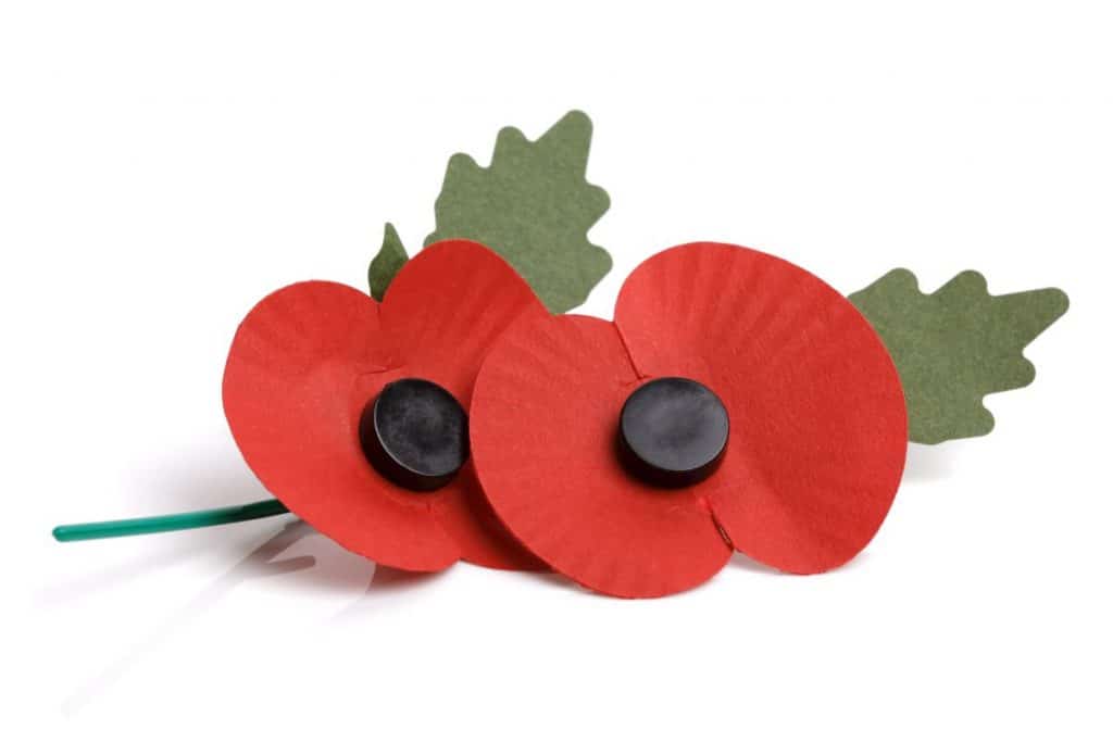 Poppies 