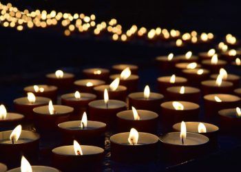 Online Light up a Life service to be held by hospice charity
