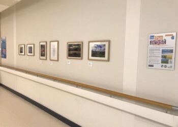 North Cumbria Integrated Care NHS Foundation Trust's Be the Artist exhibition is to go on tour