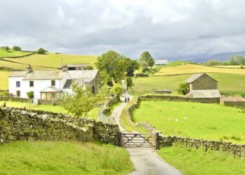 Need agricultural planning advice? PFK has the expertise